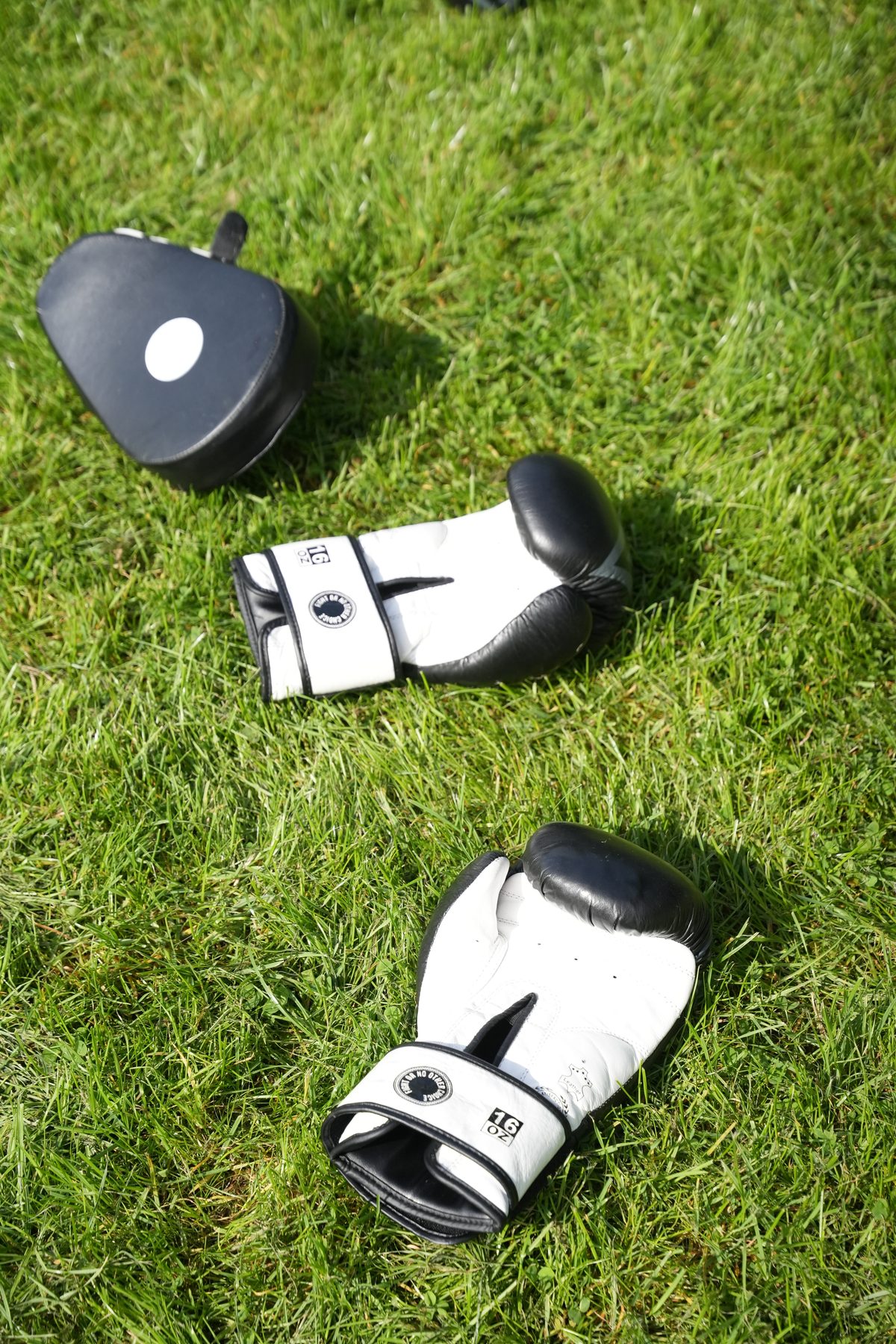 Boxing gloves and a focus pad resting on the grass between rounds